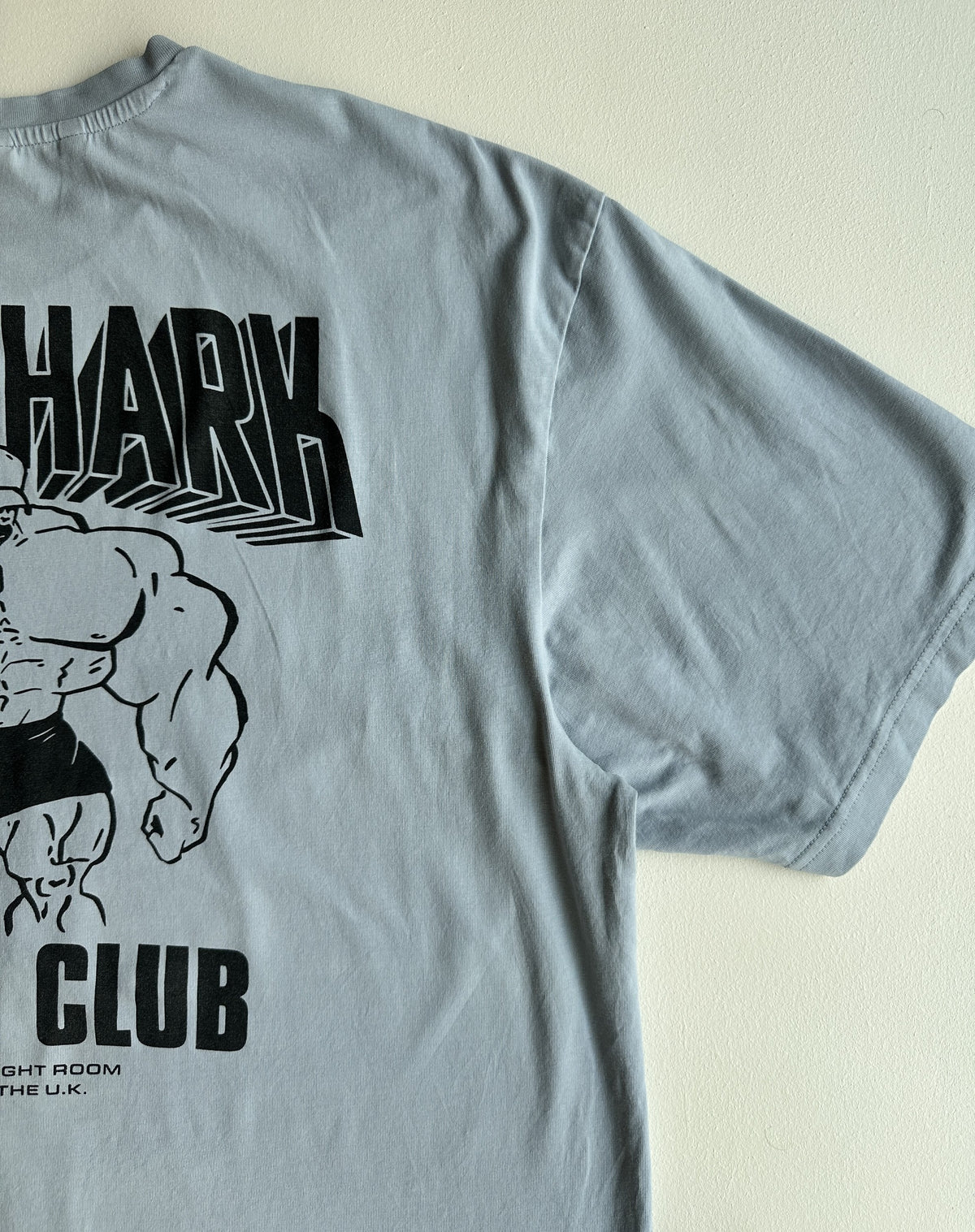 Gymshark Cartoon Lifting T-Shirt in Salt Blue — preloved Gymshark